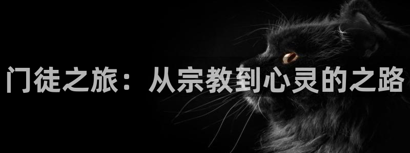 赢彩二四六天空彩赢彩