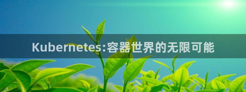 二四天天好彩859赢彩