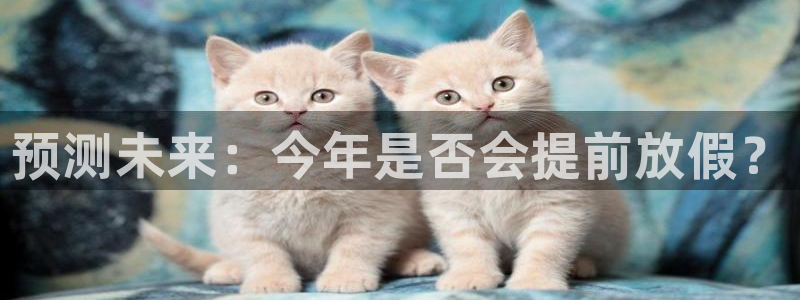 721cc赢彩网