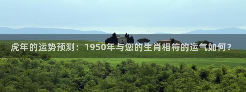 1249cc赢彩天