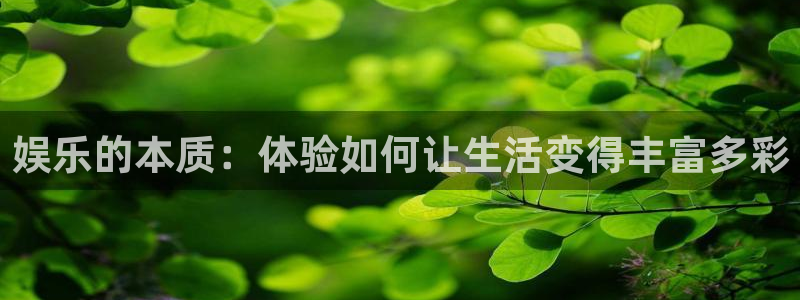 赢彩天下