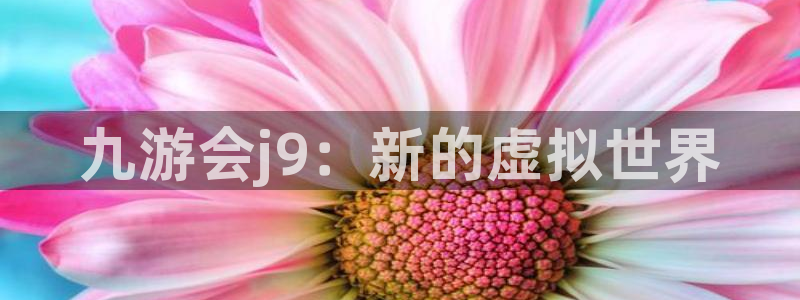 二四天天好彩859赢彩