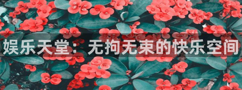 赢彩平台正规平台吗