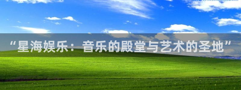下载赢彩app最新版