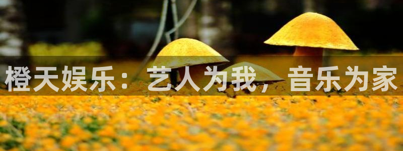 赢彩吧正版入口