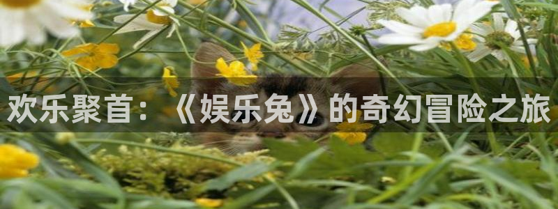 二四六天天下好彩944cc赢彩