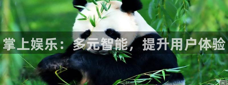 二四六天空彩选好资料赢彩