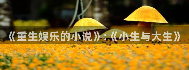 859.cc赢彩吧859cc赢彩网
