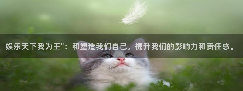 赢彩国际app