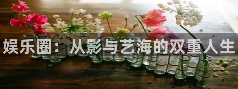 赢彩吧(859cc)赢彩图文资讯：娱乐圈：从影与艺海的双重人生