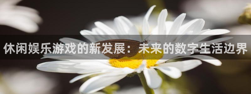 赢彩这个app是不是真的：休闲娱乐游戏的新发展：未来的数字生活边界