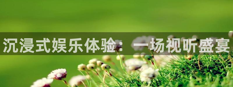 赢彩app安卓下载：沉浸式娱乐体验：一场视听盛宴