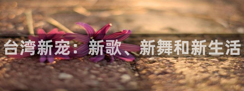 赢彩游乐是真的还是假的：台湾新宠：新歌、新舞和新生活