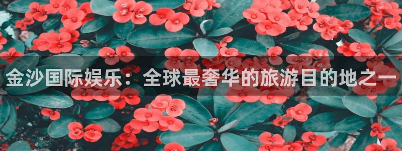 s99cc赢彩网：金沙国际娱乐：全球最奢华的旅游目的地之一