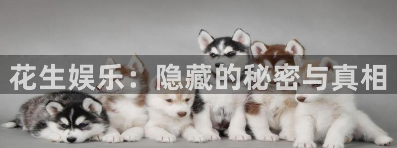 赢彩网yc：花生娱乐：隐藏的秘密与真相